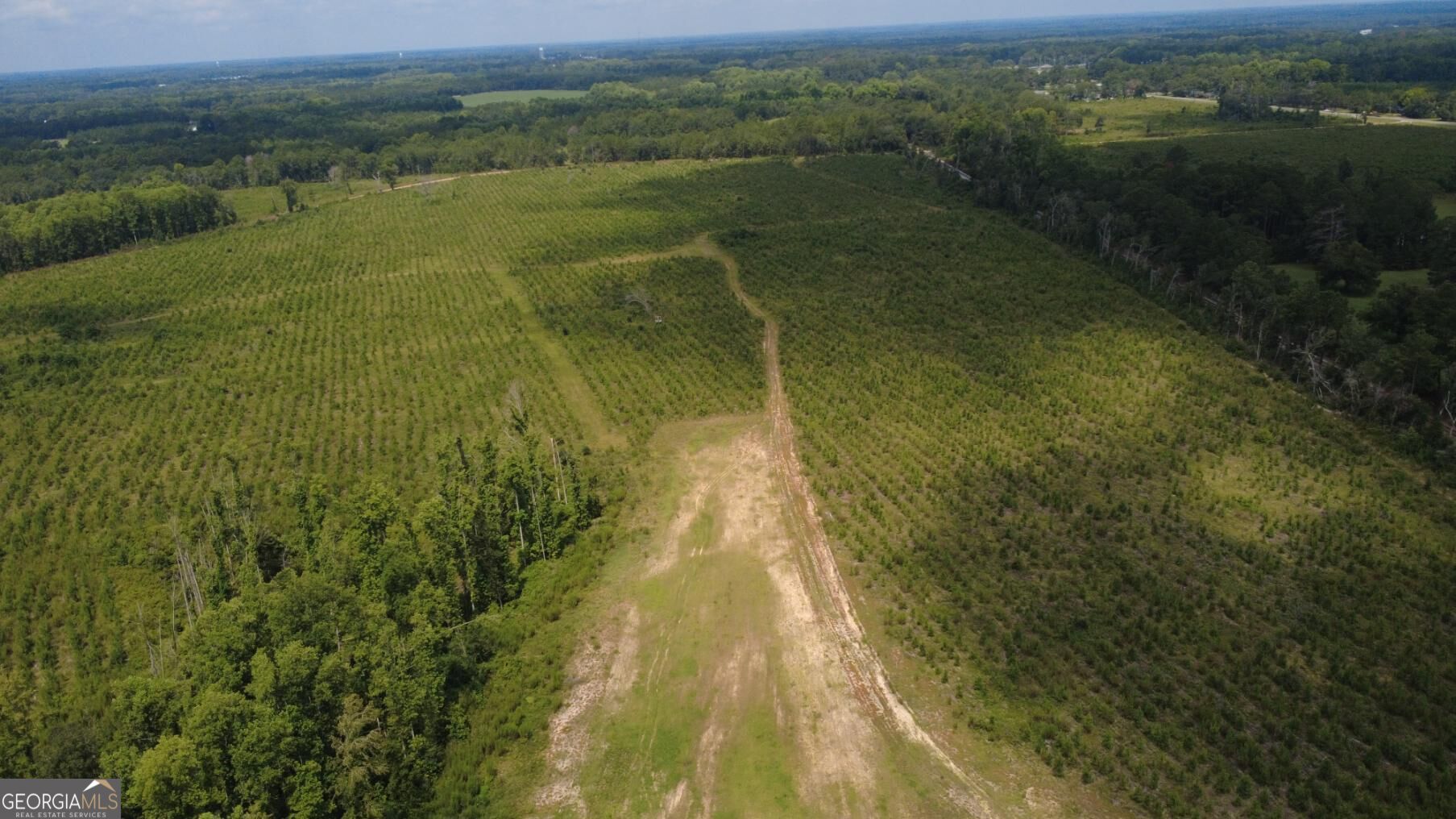 0 Sims Brothers Road Claxton, GA 30417 - Photo 12 of 18 Gallery Image 12