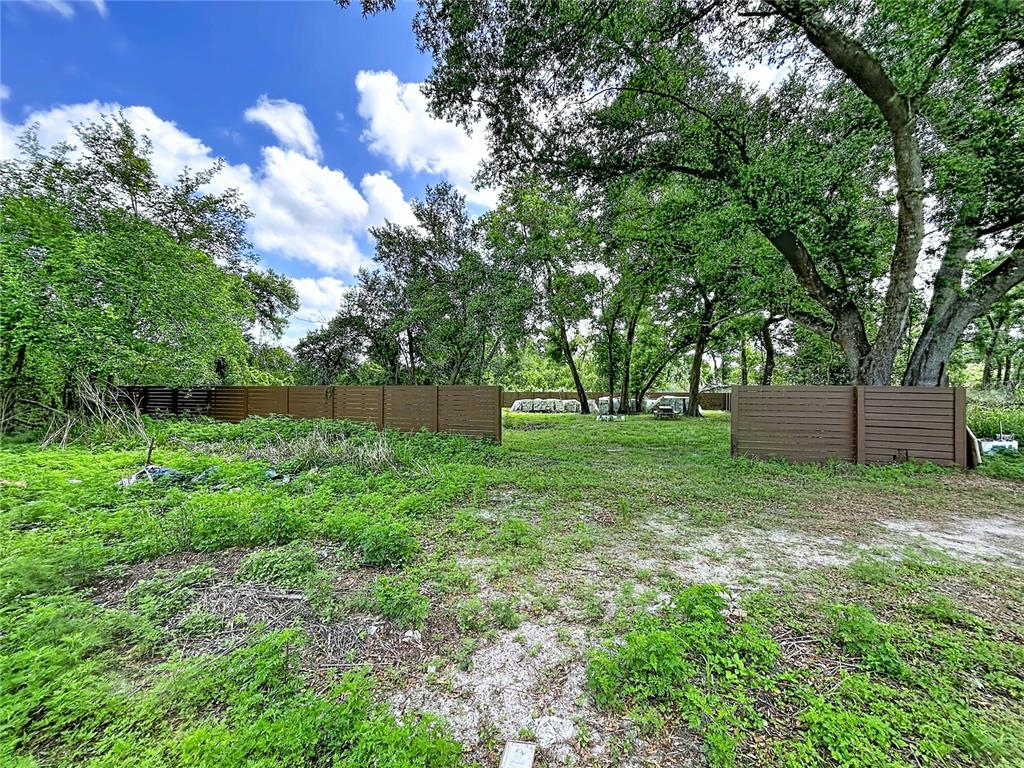 1029 Robson Avenue Seffner, FL 33584 - Photo 2 of 7 a view of backyard with green space