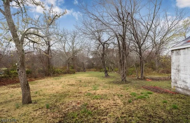 a view of a yard with trees