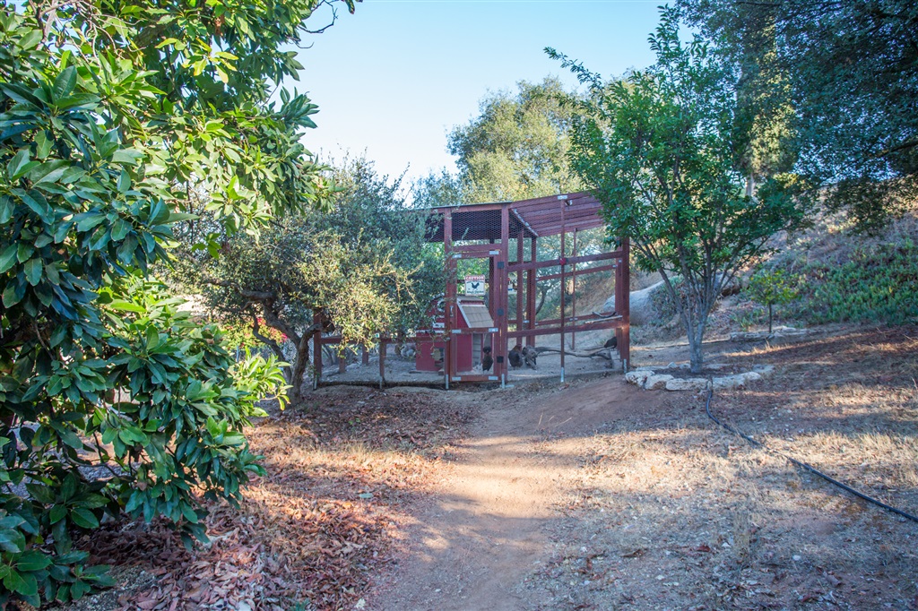 970 Old Mountain View Road El Cajon, CA 92021 - Photo 23 of 25