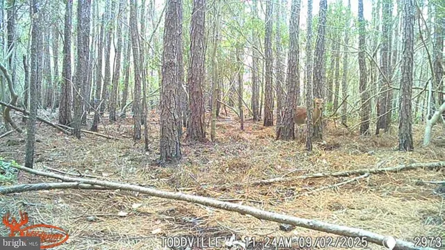 $99,000 | 2575 Toddville Road, Toddville, MD 21672