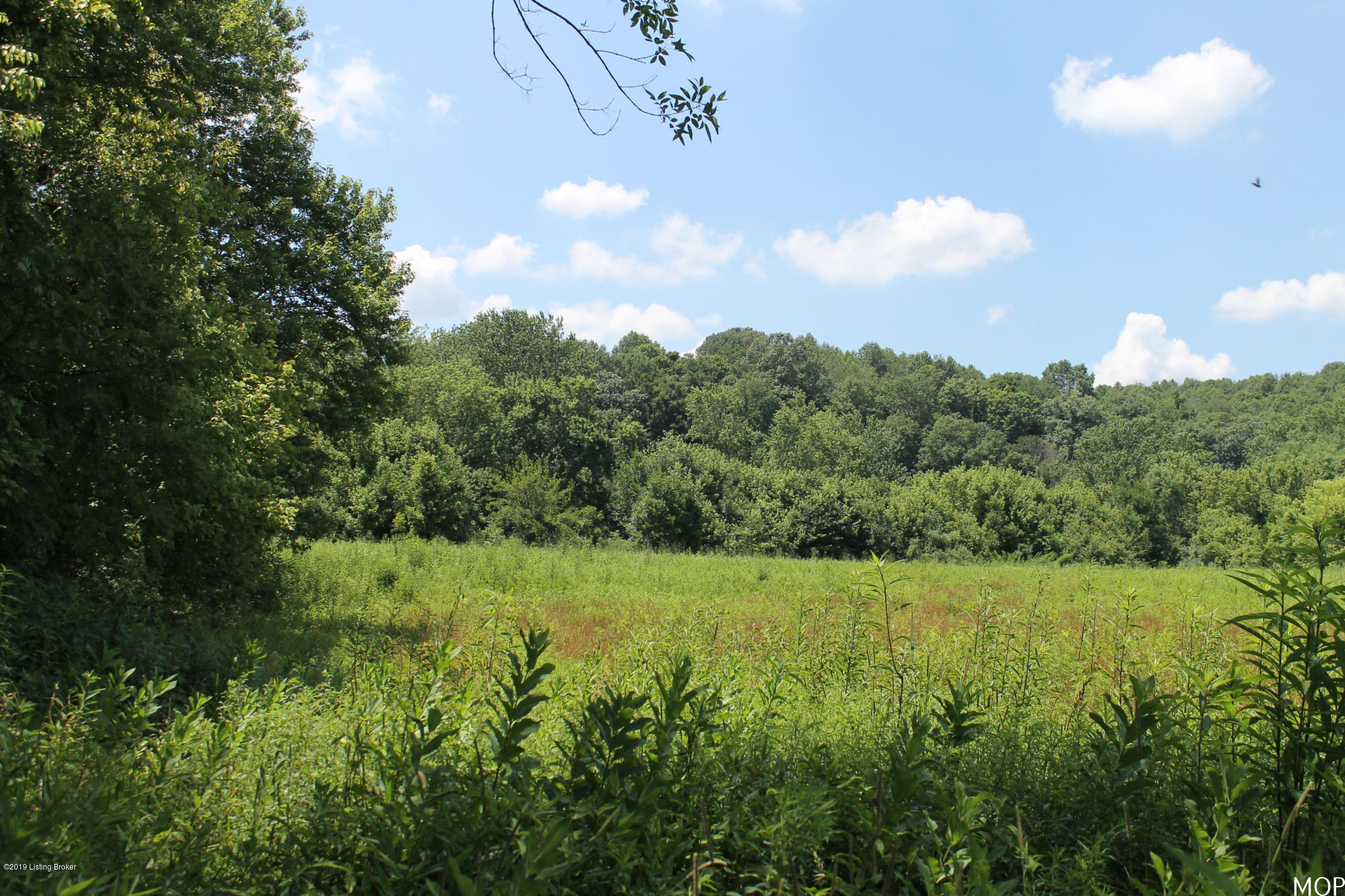 1000 Figett Bend Road Canmer, KY 42722 - Photo 19 of 61 IMG_2296