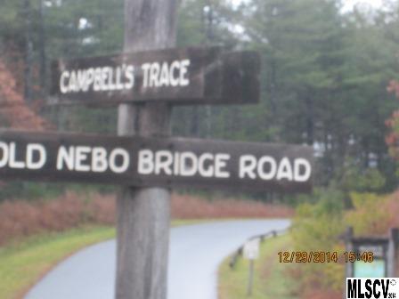 Lot 13 Old Nebo Bridge Road, Unit 13 Nebo, NC 28761 - Photo 3 of 3 Gallery Image 3