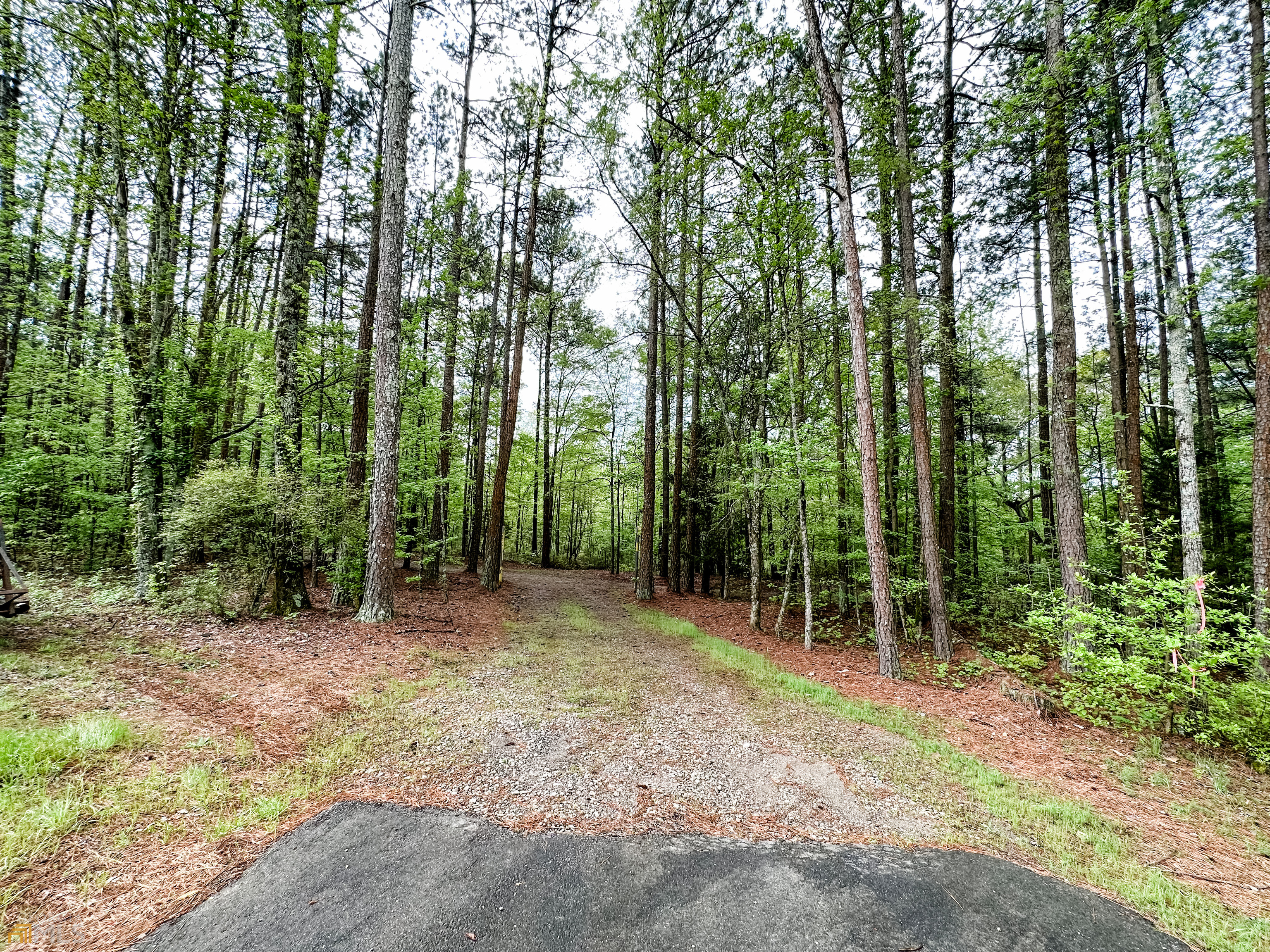 1 Washington Road, Unit 20 31 ACRES Lexington, GA 30648 - Photo 1 of 1 a view of outdoor space and trees