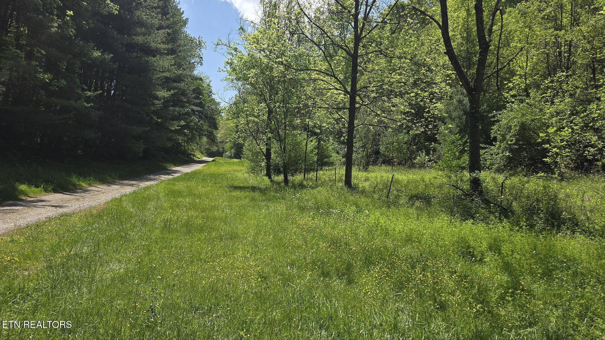8 Dooley Hollow Road Ewing, VA 24248 - Photo 2 of 9 4