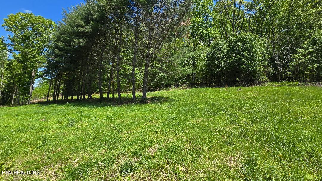 8 Dooley Hollow Road Ewing, VA 24248 - Photo 5 of 9 Dooley Hollow 3