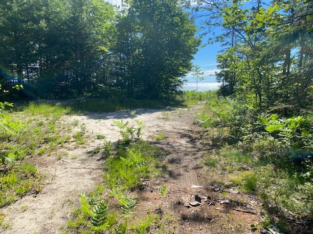 9600 North Whitefish Point Road Paradise, MI 49768 - Photo 6 of 16 Gallery Image 6
