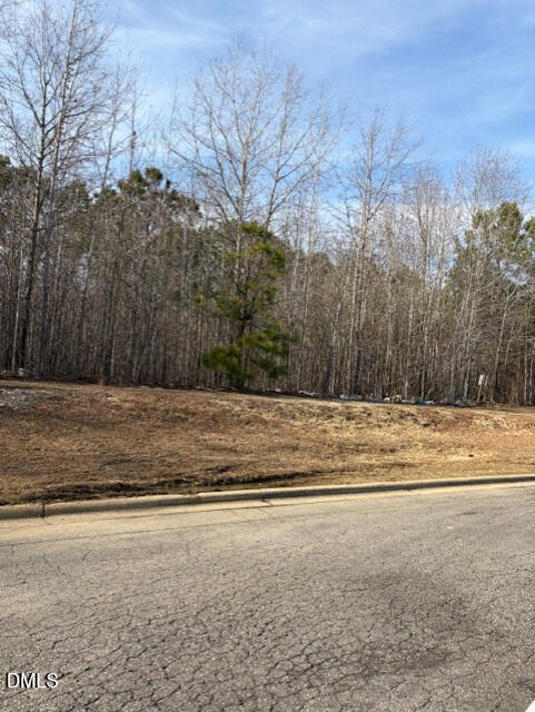 206 Hope Street Erwin, NC 28339 - Photo 6 of 10