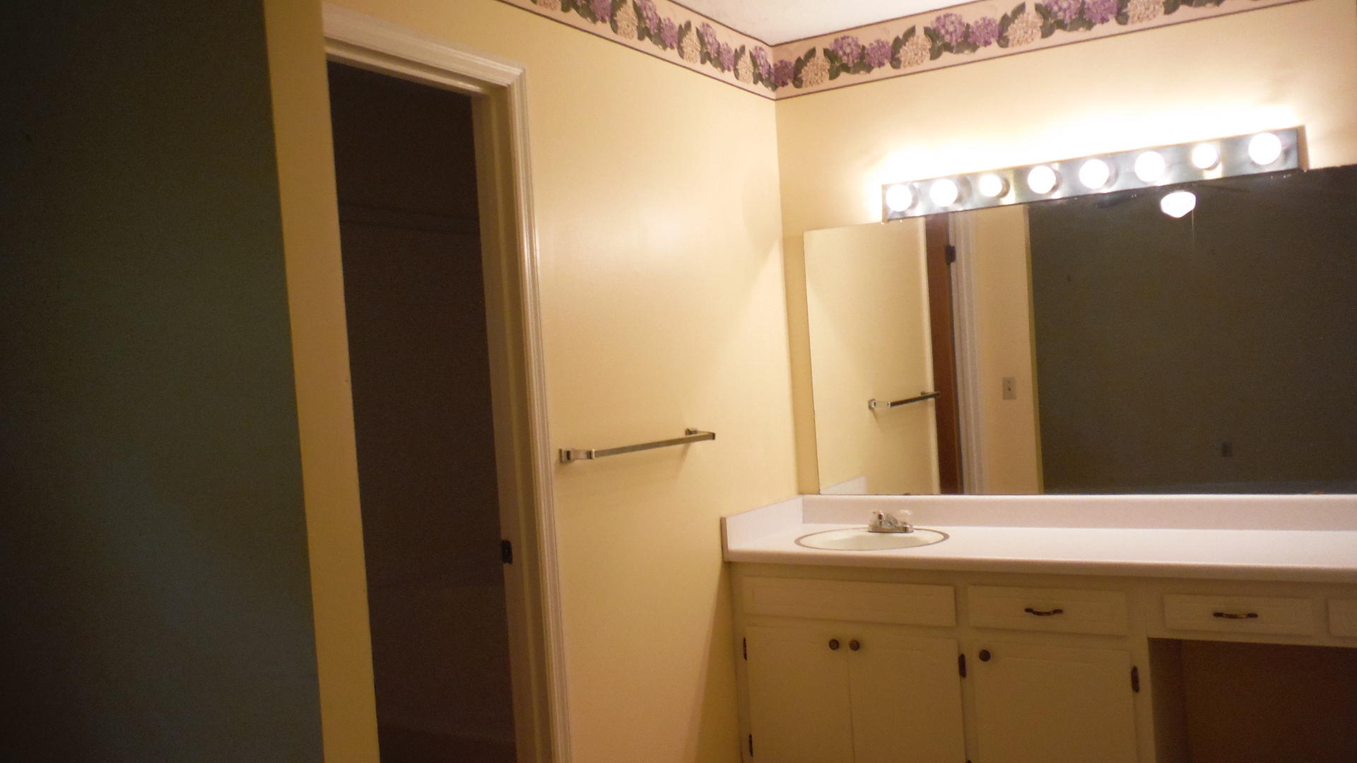 122 Rolling Ridge Drive Chattanooga, TN 37421 - Photo 4 of 7 Master bathroom.