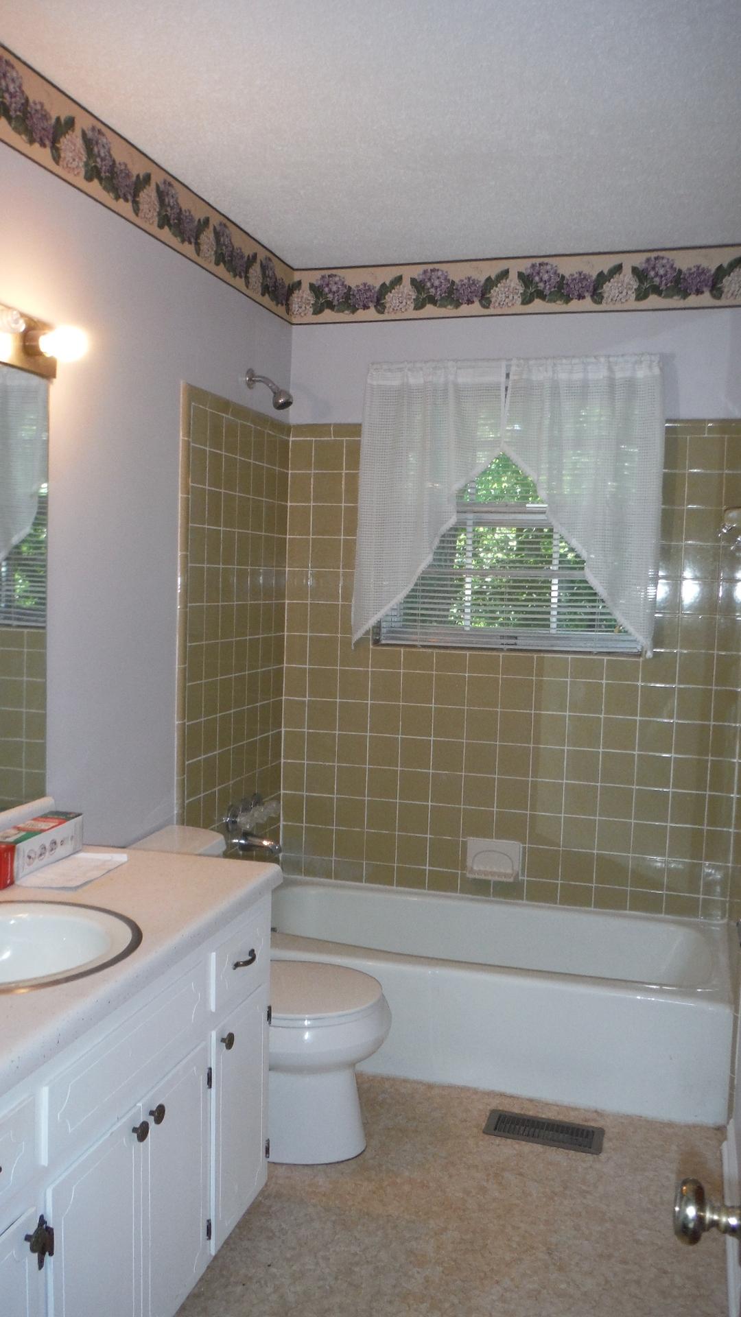 122 Rolling Ridge Drive Chattanooga, TN 37421 - Photo 5 of 7 Sparkling clean main full bathroom