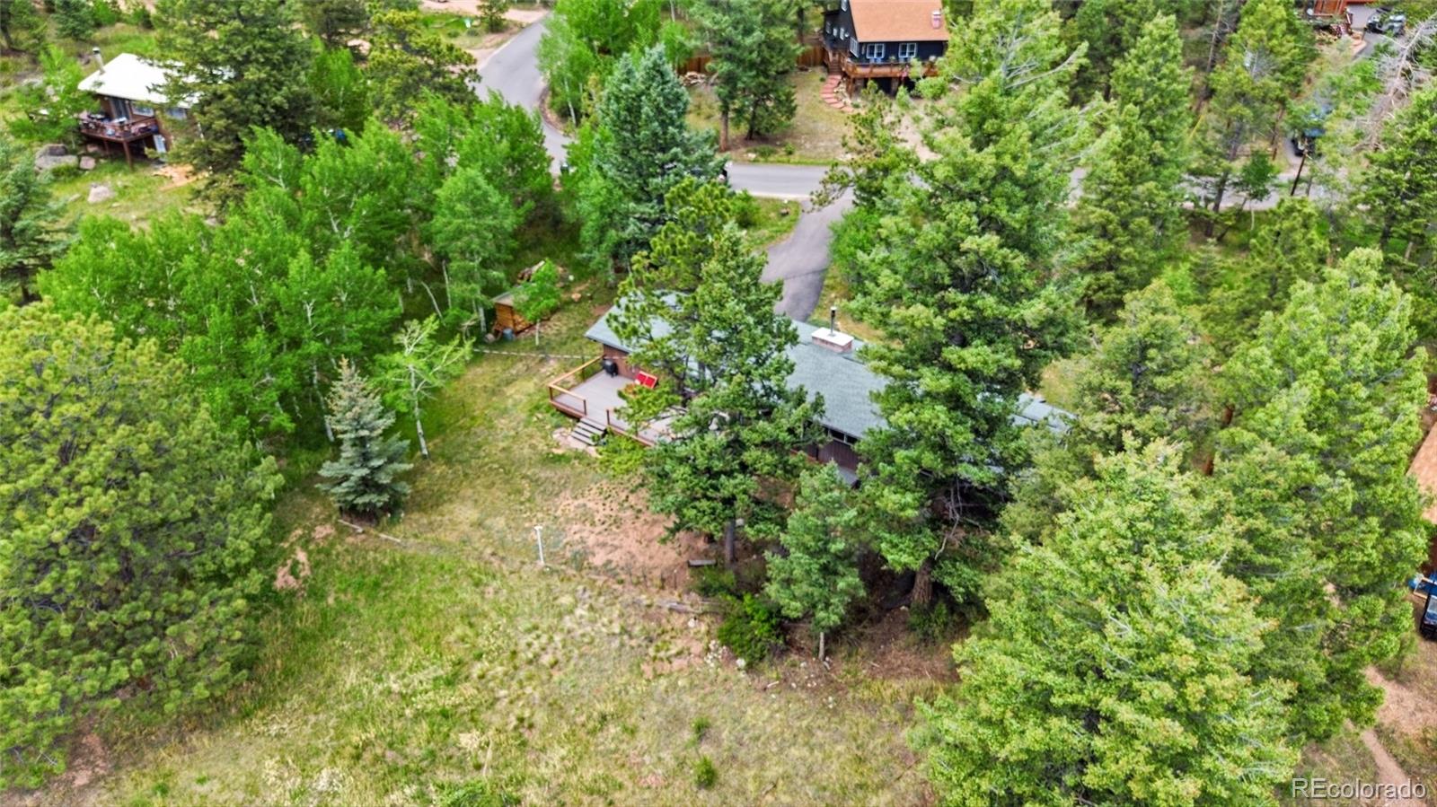 31280 Florence Road Conifer, CO 80433 - Photo 46 of 48 a plant view in yard