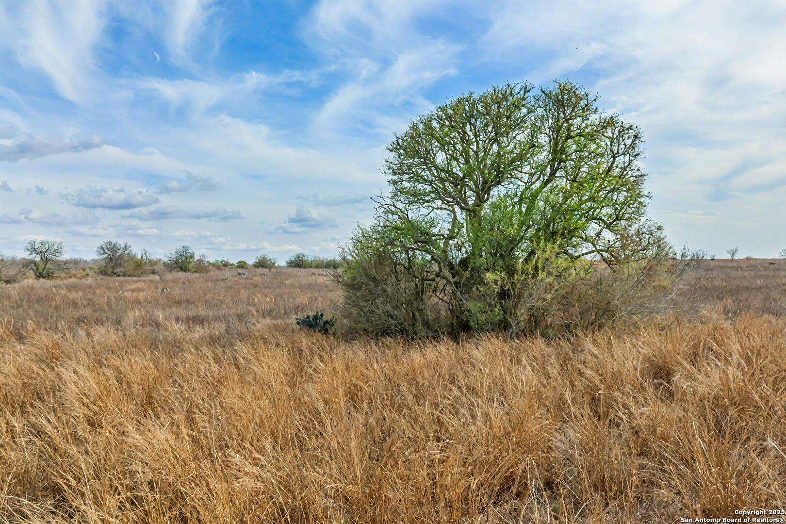 270 Realitos Tx 78376 Realitos, TX 78376 - Photo 1 of 1 a view of a lake with beach and green space