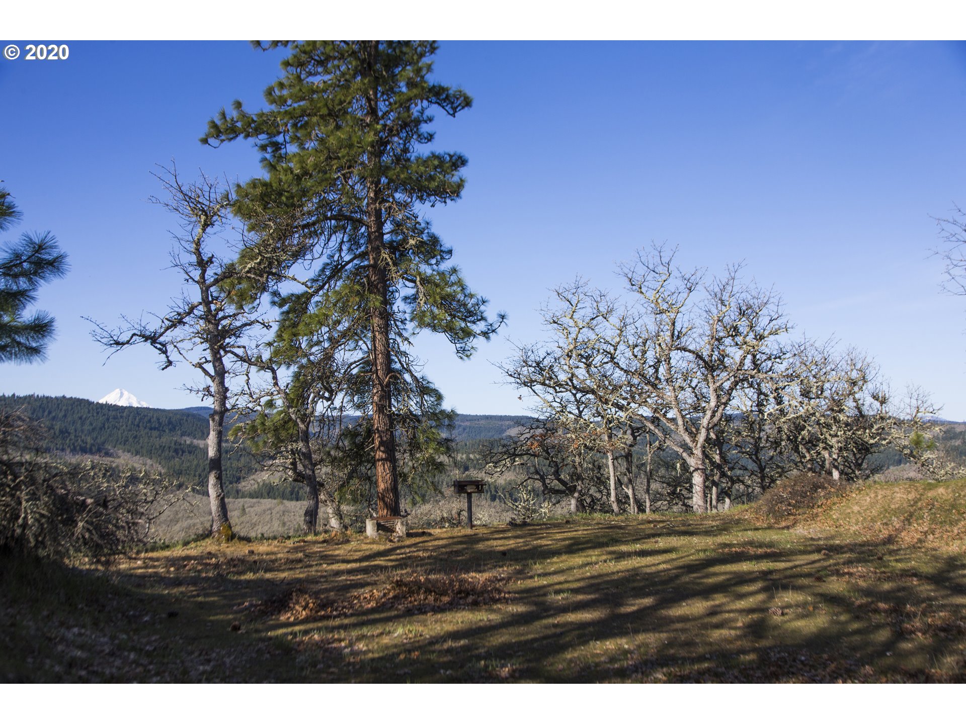 2350 Carroll Road Mosier, OR 97040 - Photo 13 of 14