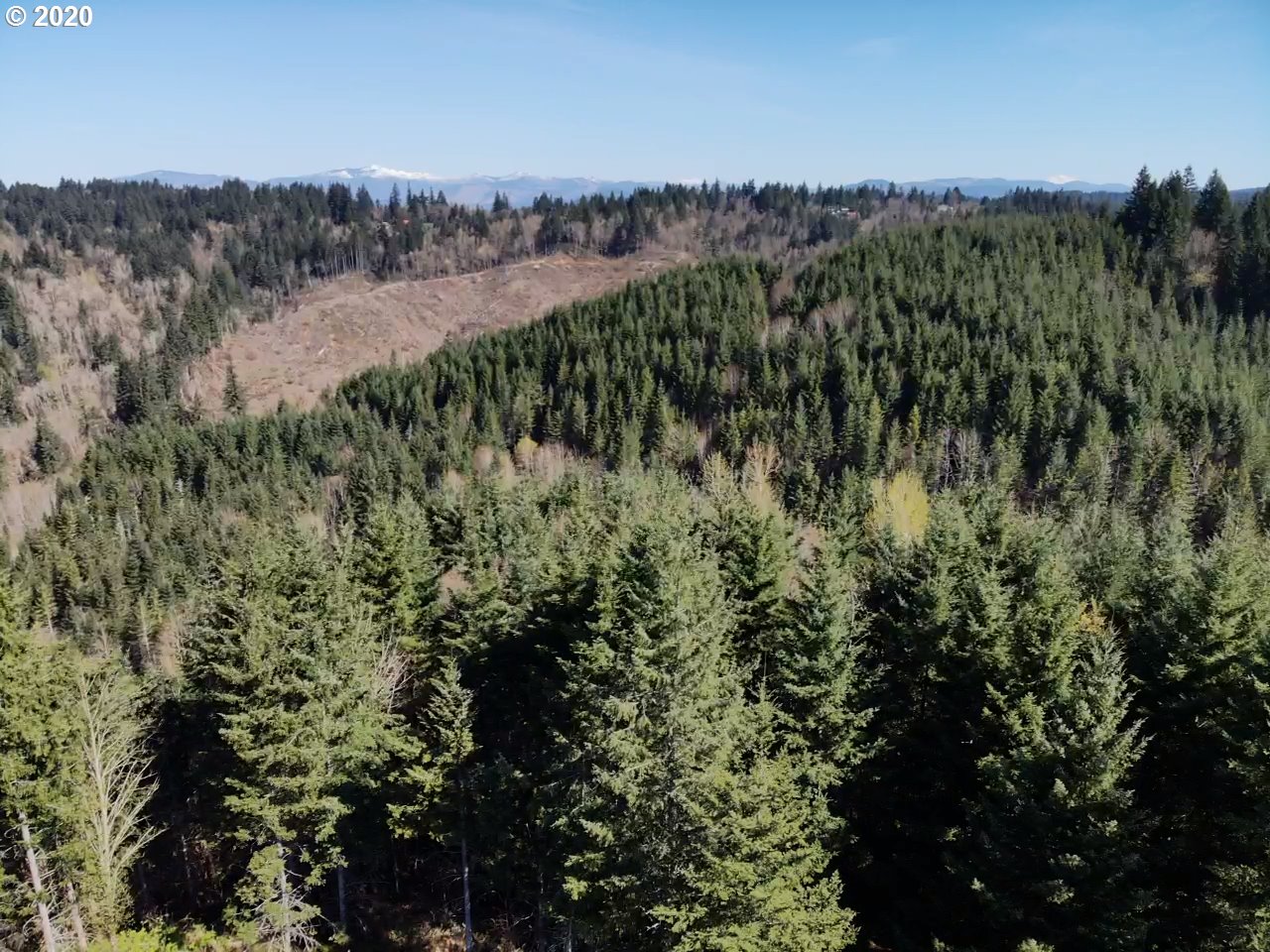 2350 Carroll Road Mosier, OR 97040 - Photo 3 of 14