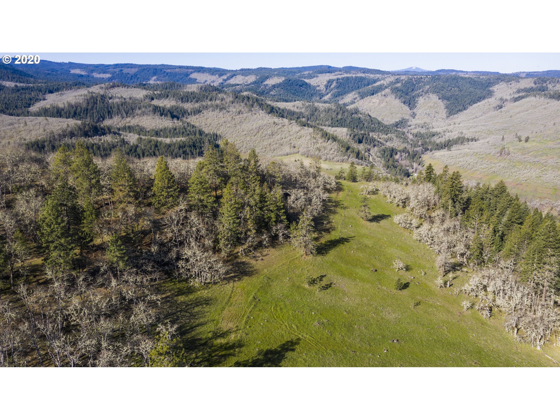 2350 Carroll Road Mosier, OR 97040 - Photo 5 of 14