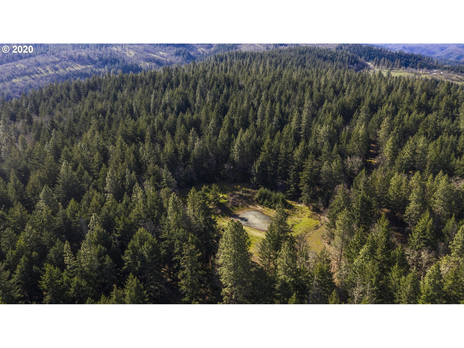 2350 Carroll Road Mosier, OR 97040 - Photo 6 of 14