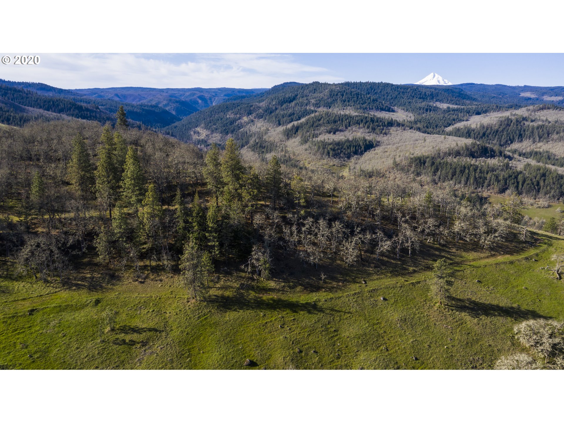 2350 Carroll Road Mosier, OR 97040 - Photo 7 of 14