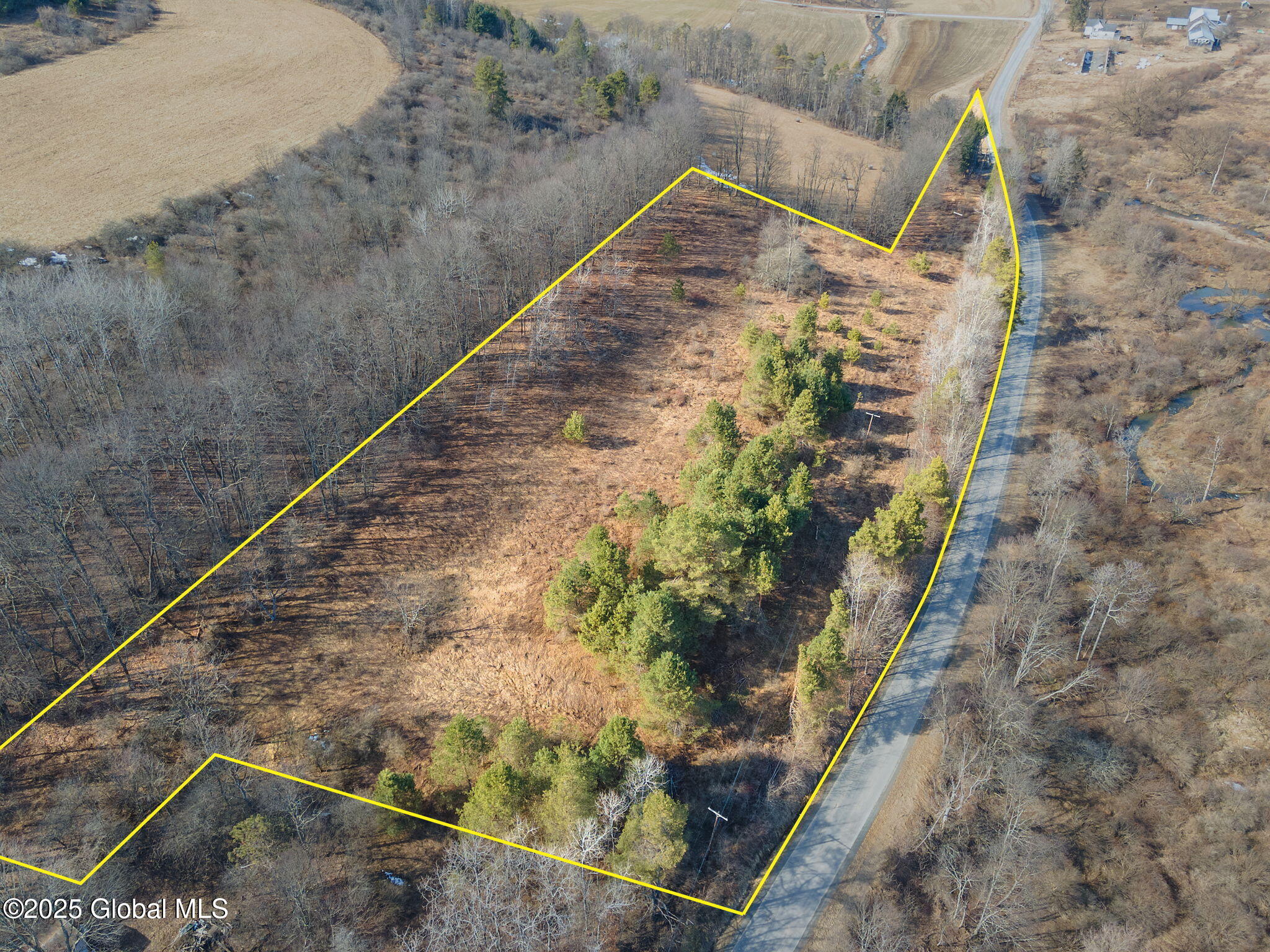 L20.2 Indian Brook Road Greene, NY 13778 - Photo 2 of 21 1-IndianBrookRd_01