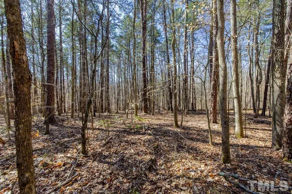 a view of a backyard with trees
