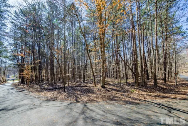 a view of outdoor space with trees