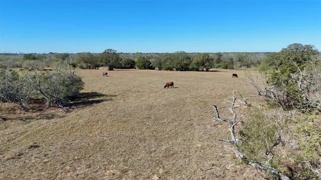 a view of a field with trees in the background