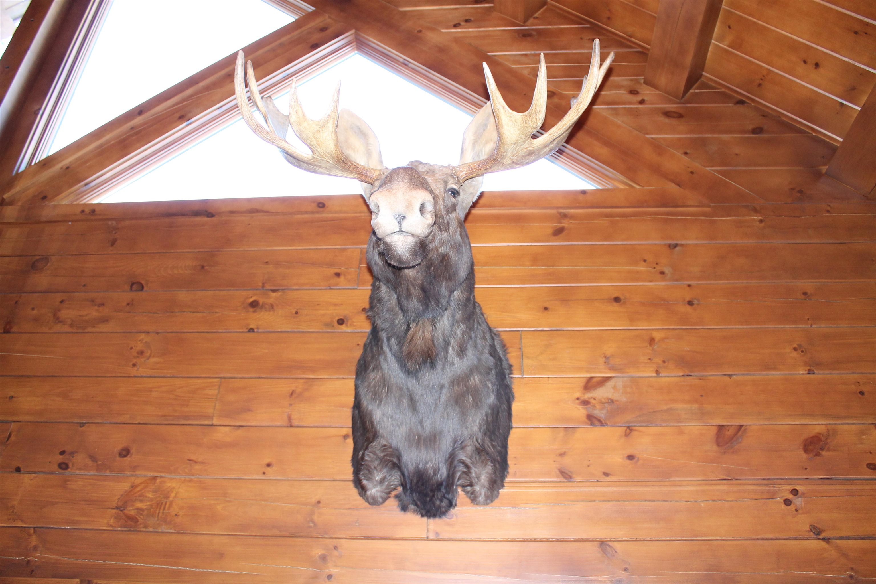 137 South Peak Road Lincoln, NH 03251 - Photo 47 of 60