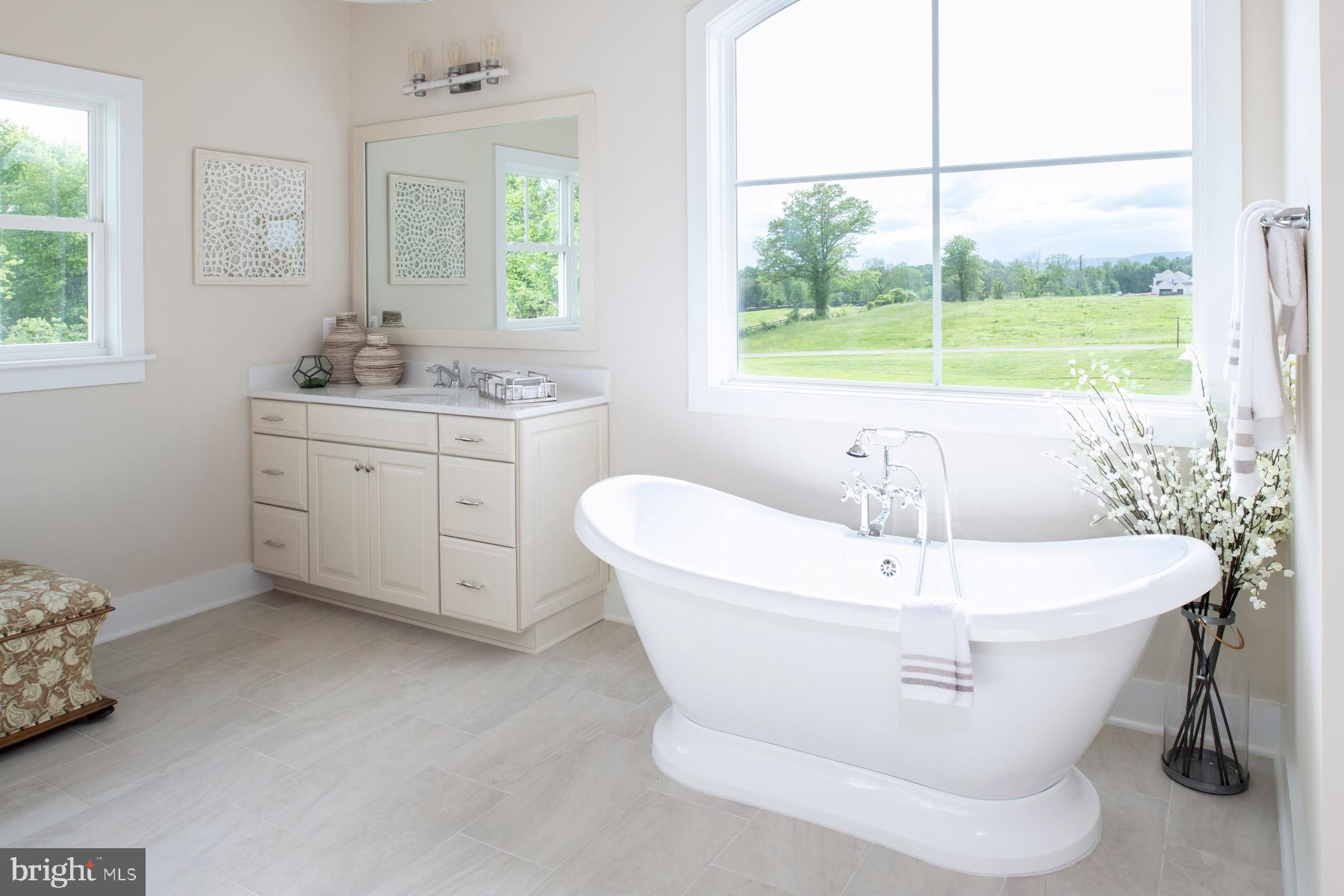 37092 Shoemaker School Road Purcellville, VA 20132 - Photo 22 of 24 Owner's Bath
