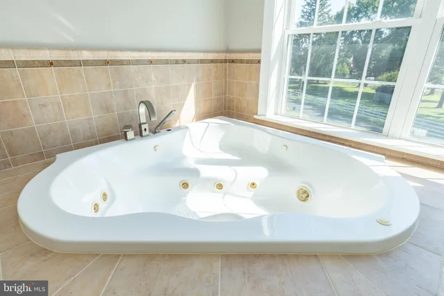 a view of swimming pool with tree s