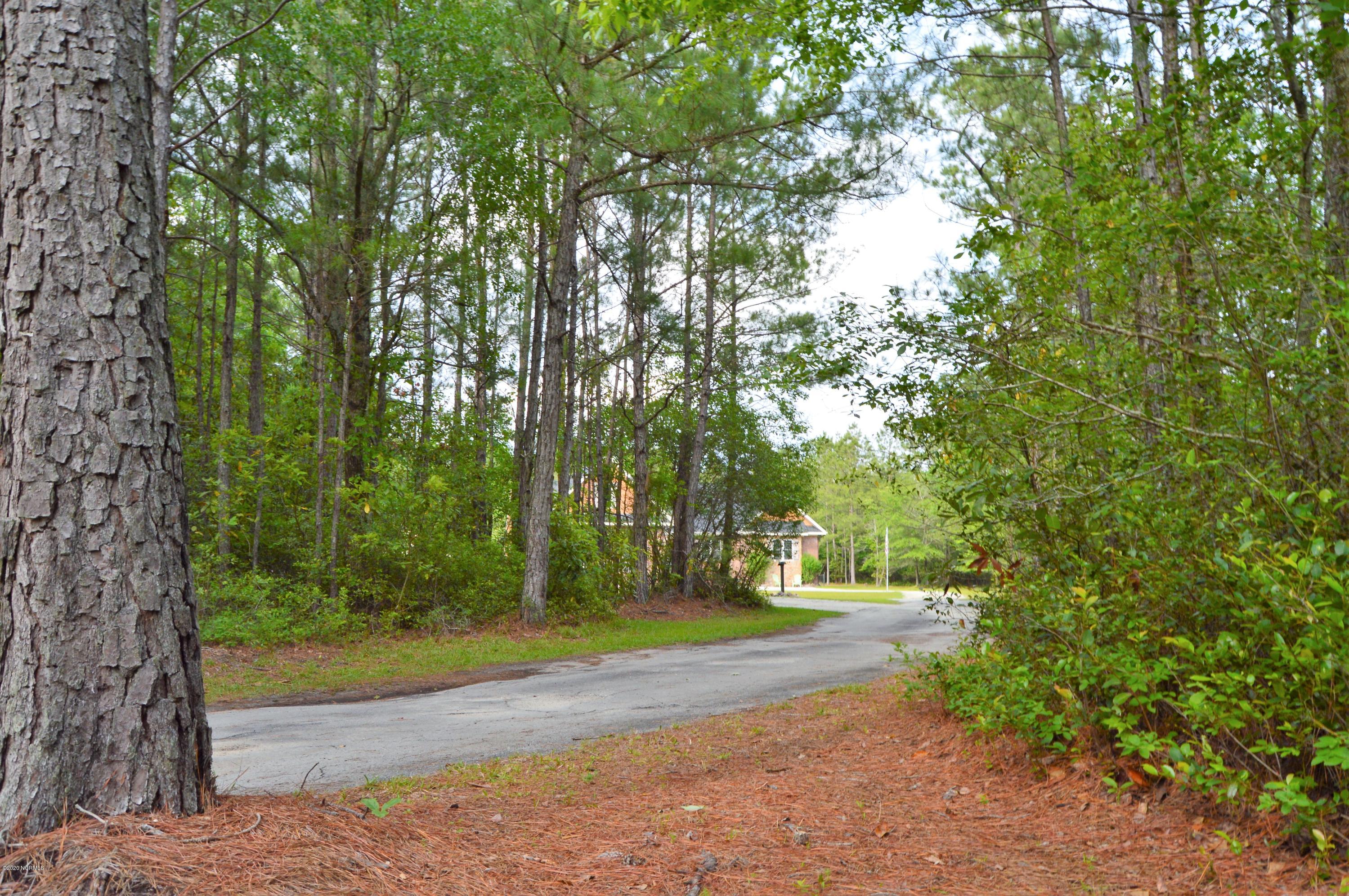 286 Scott-Jenkins Road Jacksonville, NC 28540 - Photo 5 of 124 DSC_0639