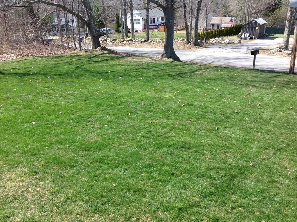 44 Tobin Road Leicester, MA 01611 - Photo 6 of 30 a view of park with bench and trees