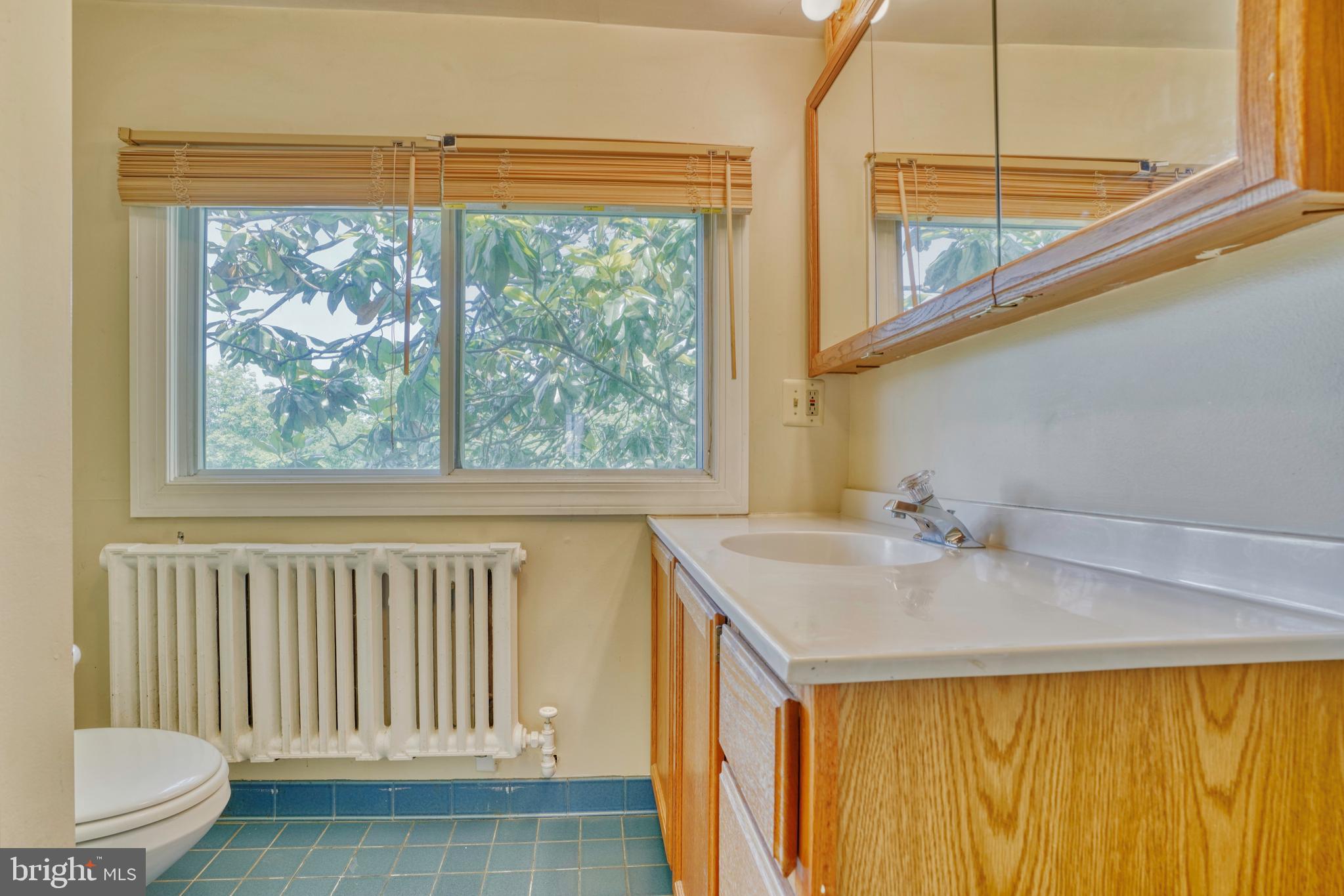 2109 Carterdale Road Baltimore, MD 21209 - Photo 47 of 68