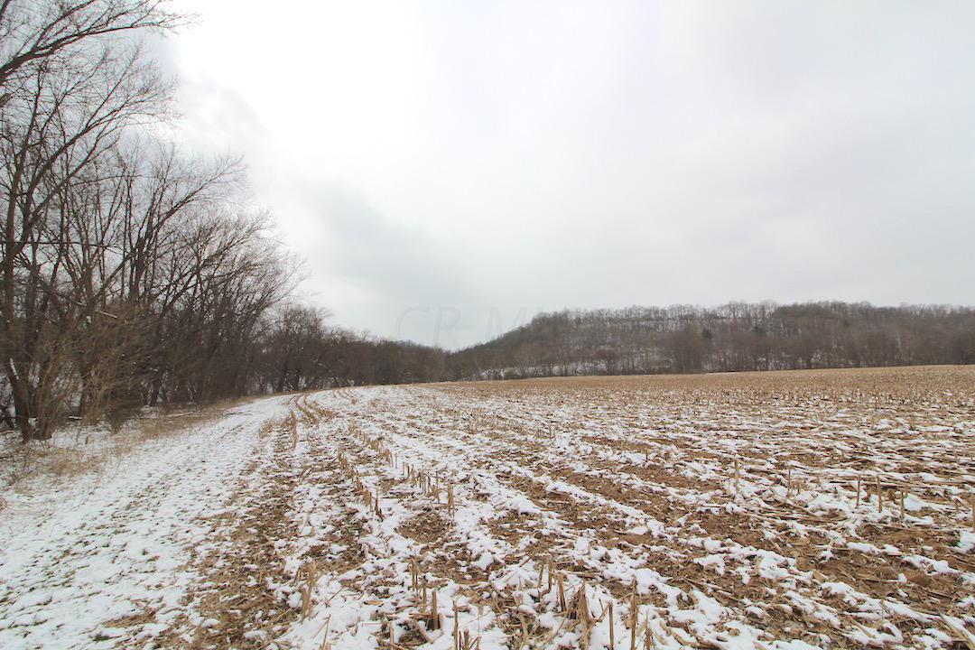 72375 Bridge Road Kimbolton, OH 43749 - Photo 11 of 48
