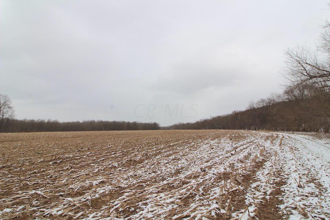 72375 Bridge Road Kimbolton, OH 43749 - Photo 12 of 48