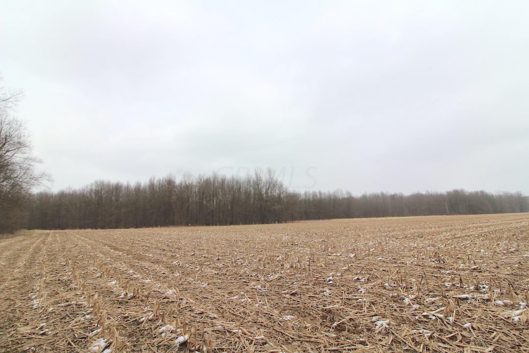 72375 Bridge Road Kimbolton, OH 43749 - Photo 13 of 48