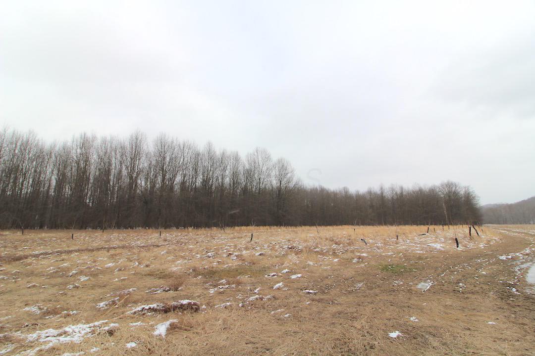 72375 Bridge Road Kimbolton, OH 43749 - Photo 15 of 48