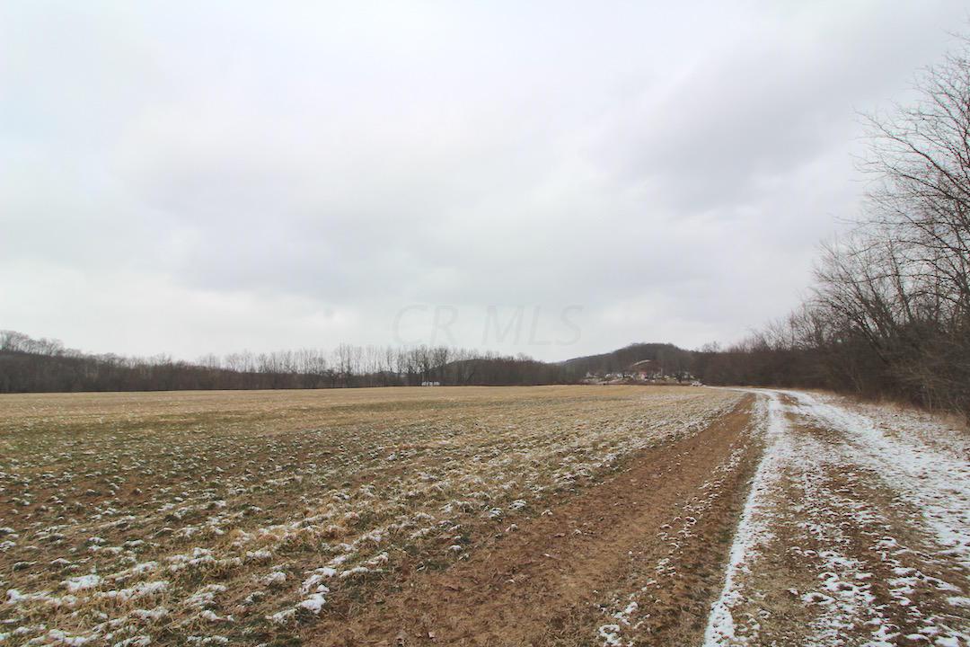 72375 Bridge Road Kimbolton, OH 43749 - Photo 2 of 48