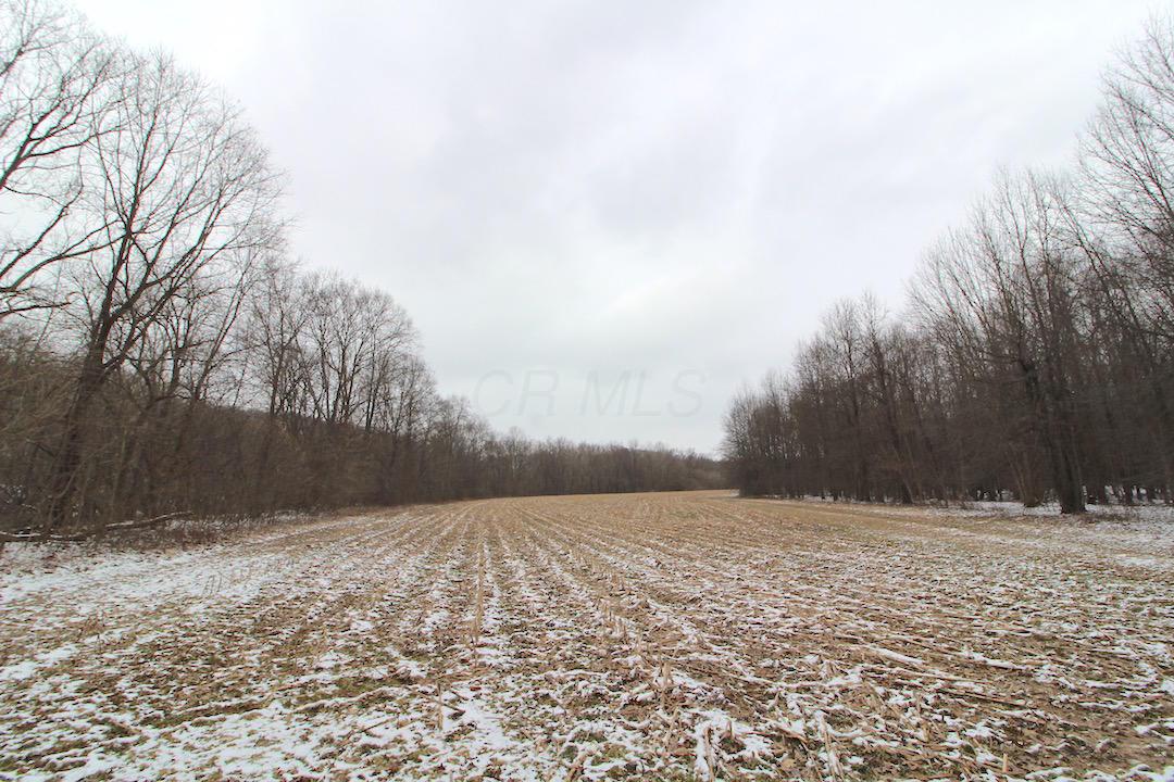 72375 Bridge Road Kimbolton, OH 43749 - Photo 21 of 48