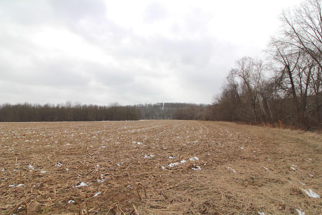72375 Bridge Road Kimbolton, OH 43749 - Photo 24 of 48