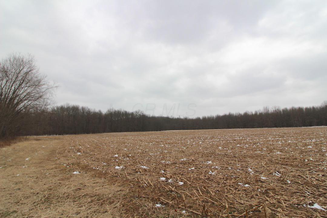 72375 Bridge Road Kimbolton, OH 43749 - Photo 25 of 48