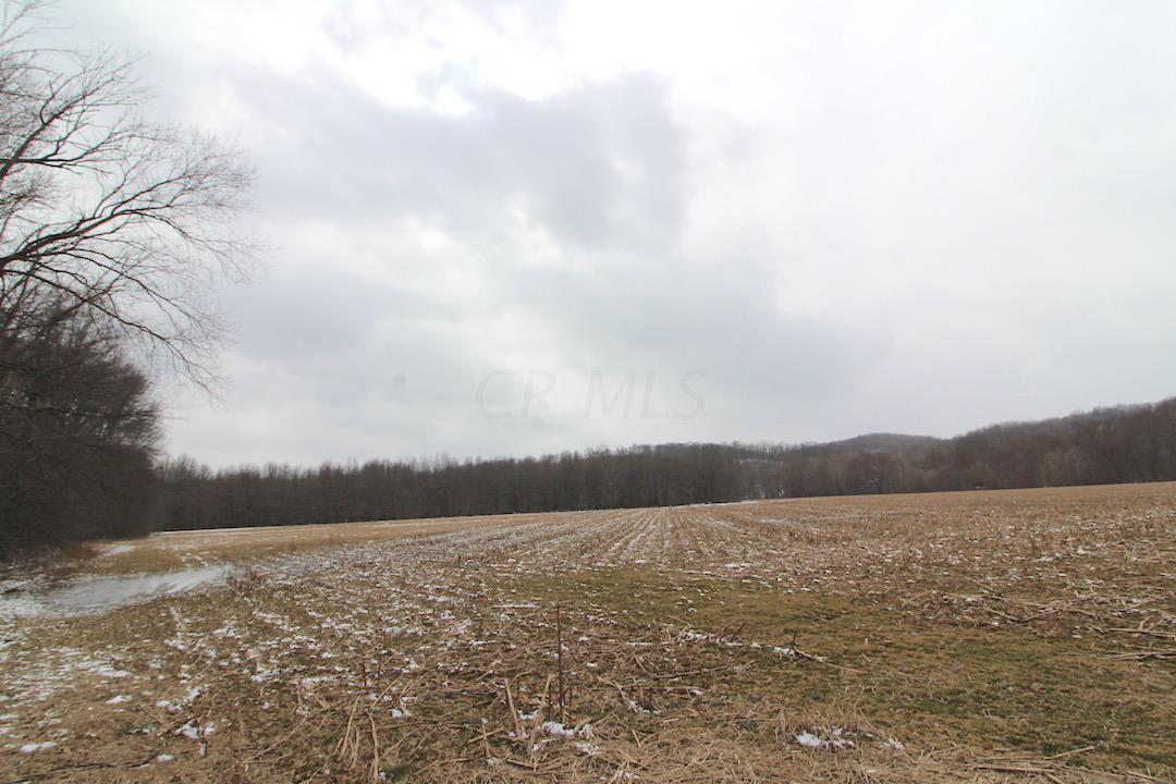 72375 Bridge Road Kimbolton, OH 43749 - Photo 28 of 48