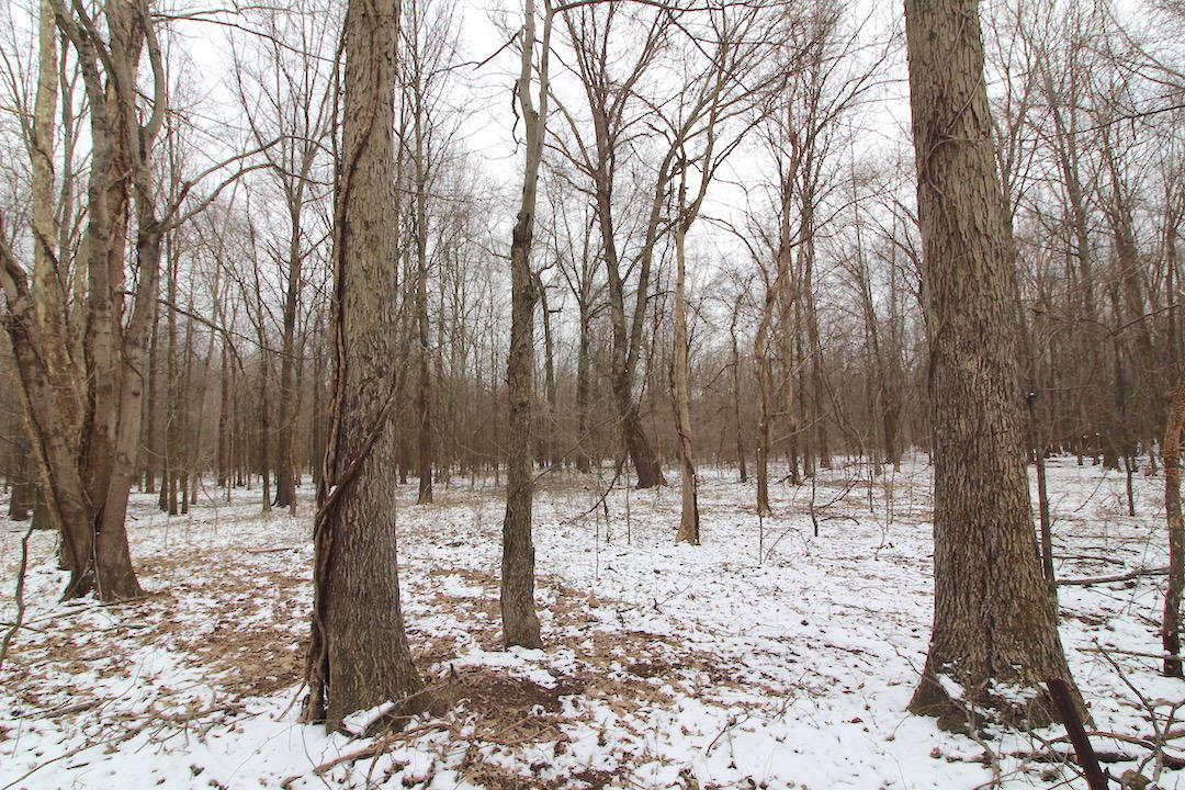72375 Bridge Road Kimbolton, OH 43749 - Photo 29 of 48