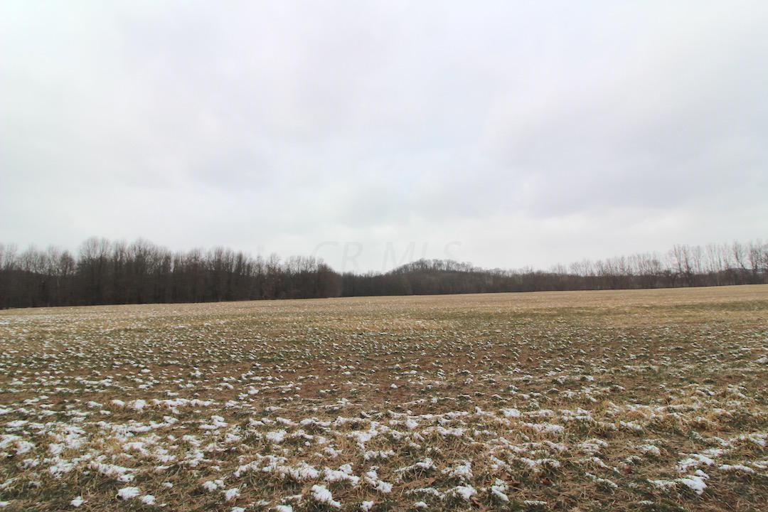 72375 Bridge Road Kimbolton, OH 43749 - Photo 3 of 48