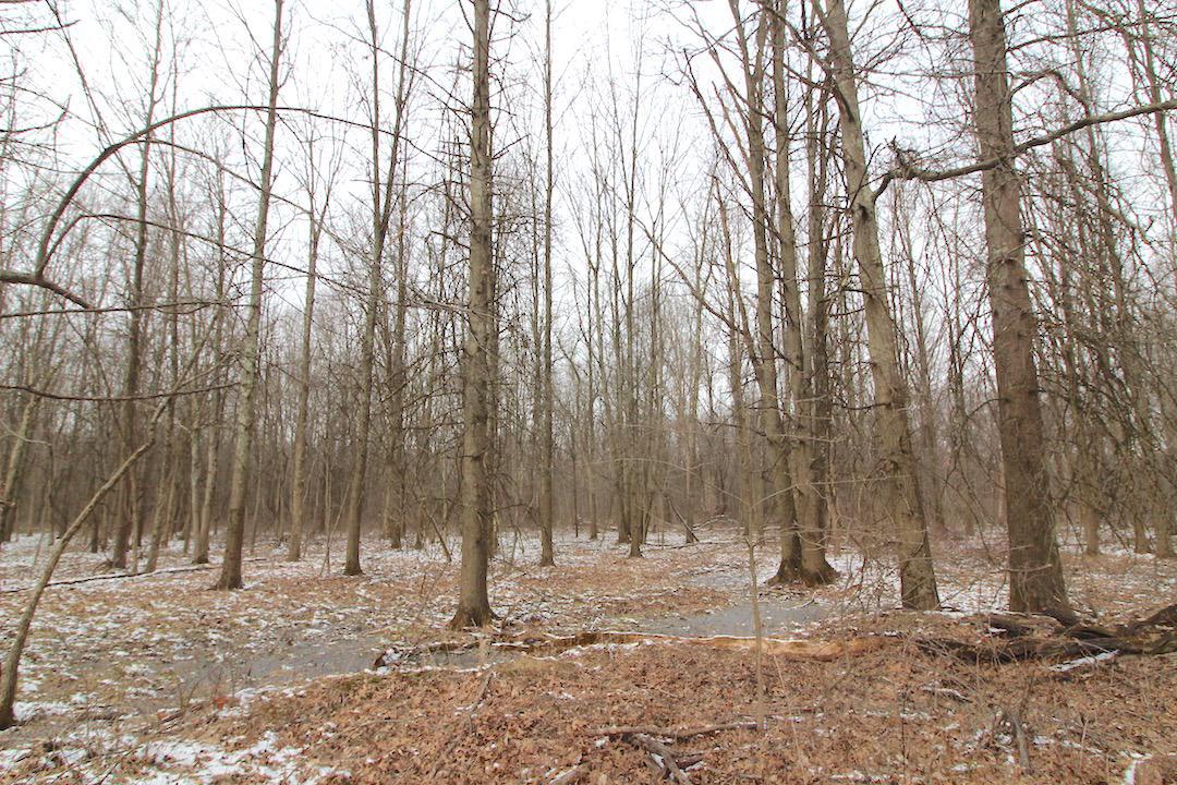 72375 Bridge Road Kimbolton, OH 43749 - Photo 31 of 48
