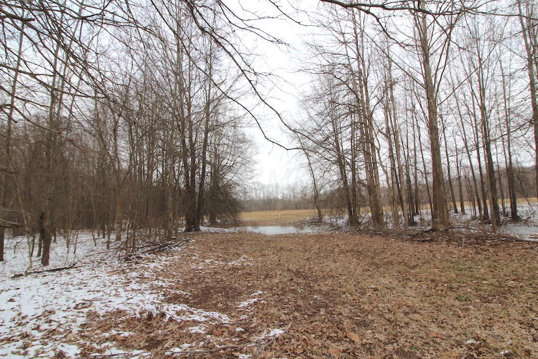 72375 Bridge Road Kimbolton, OH 43749 - Photo 33 of 48