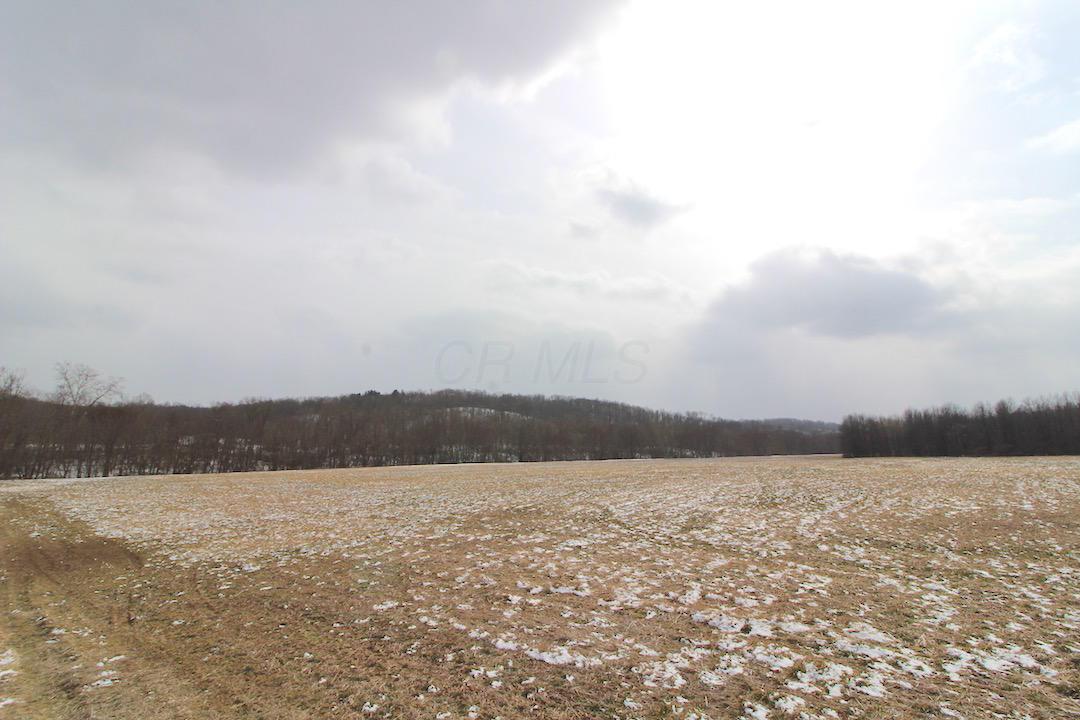 72375 Bridge Road Kimbolton, OH 43749 - Photo 40 of 48