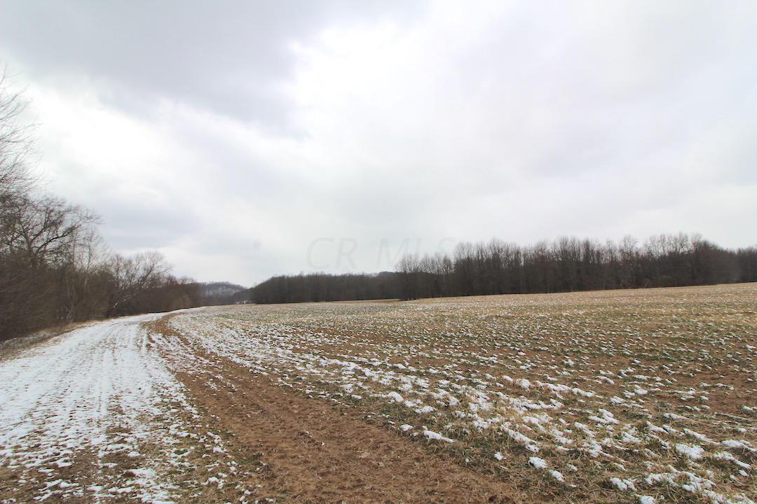 72375 Bridge Road Kimbolton, OH 43749 - Photo 4 of 48