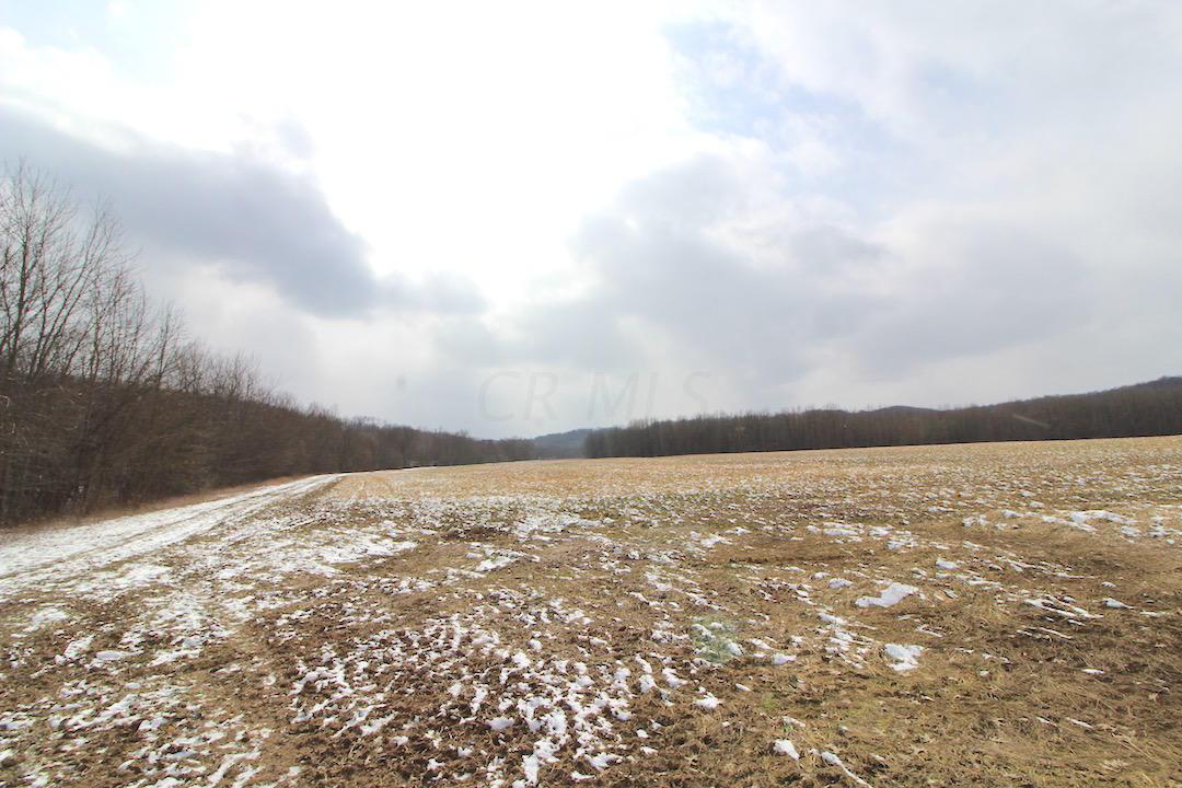 72375 Bridge Road Kimbolton, OH 43749 - Photo 43 of 48