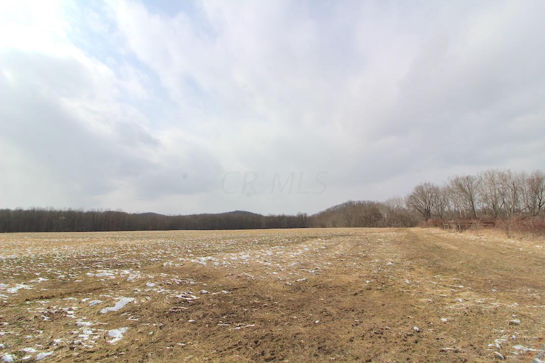 72375 Bridge Road Kimbolton, OH 43749 - Photo 44 of 48