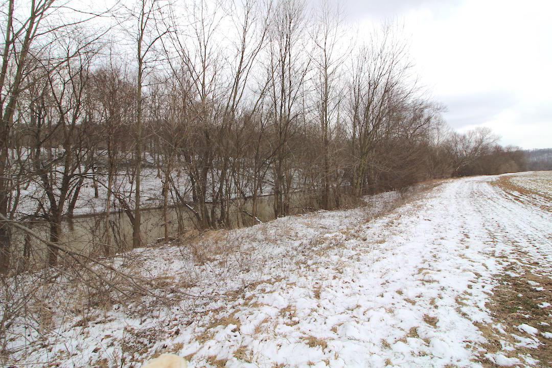 72375 Bridge Road Kimbolton, OH 43749 - Photo 5 of 48