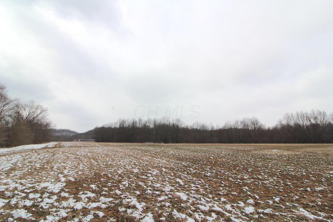 72375 Bridge Road Kimbolton, OH 43749 - Photo 6 of 48